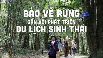 Bảo vệ rừng gắn với phát triển du lịch sinh thái