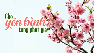 Cho yên bình từng phút giây