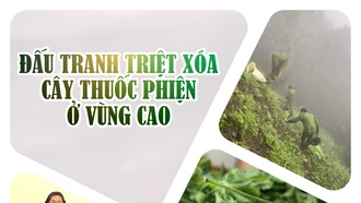 Đấu tranh triệt xóa cây thuốc phiện ở vùng cao