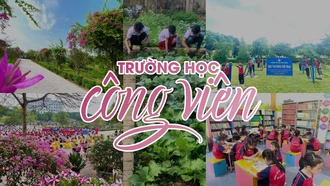 “Trường học công viên”