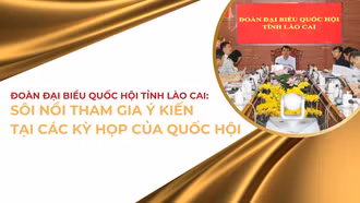 Sôi nổi tham gia ý kiến tại các kỳ họp của Quốc hội