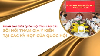 Sôi nổi tham gia ý kiến tại các kỳ họp của Quốc hội