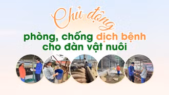 Chủ động phòng, chống dịch bệnh cho đàn vật nuôi