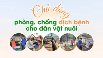 Chủ động phòng, chống dịch bệnh cho đàn vật nuôi