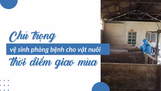 Chú trọng vệ sinh phòng bệnh cho vật nuôi thời điểm giao mùa