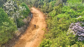 Đường đua rực rỡ sắc hoa