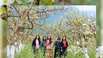 Mê mẩn mùa hoa lê Bắc Hà