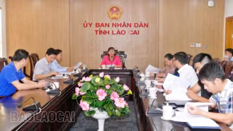 20 giải pháp được xét trao giải thưởng Hội thi Sáng tạo kỹ thuật tỉnh Lào Cai