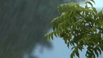 Nhiều mây, có mưa, mưa rào và dông rải rác, cục bộ có nơi mưa vừa, mưa to