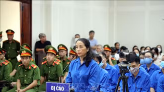 Xét xử cựu Giám đốc Sở Giáo dục và Đào tạo Quảng Ninh cùng đồng phạm