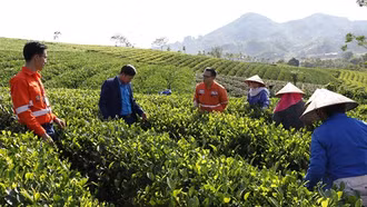 Tín dụng xanh cho nông nghiệp