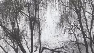 Rét nhất từ đầu mùa đông, Sa Pa giảm còn 5,7 độ C 