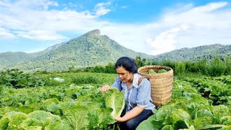 Cô gái 9X giúp tiêu thụ nông sản bằng công nghệ số, lan tỏa nông dân số