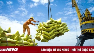 Bộ Công Thương chỉ đạo hỏa tốc trước việc Ấn Độ cấm xuất khẩu gạo