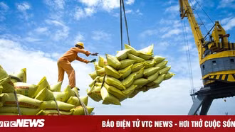 Bộ Công Thương chỉ đạo hỏa tốc trước việc Ấn Độ cấm xuất khẩu gạo