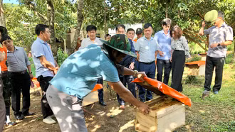 Ứng dụng nông nghiệp tuần hoàn trong phát triển kinh tế VAC