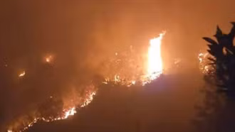 Thủ tướng Chính phủ yêu cầu tăng cường triển khai các biện pháp cấp bách phòng cháy, chữa cháy rừng