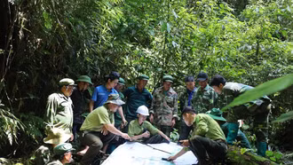 Tiếp tục tăng cường quản lý, bảo vệ rừng, phòng cháy, chữa cháy rừng trước, trong và sau tết Giáp Thìn