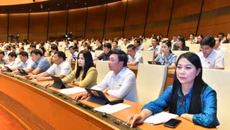 Thông qua 2 nghị quyết thành lập Đoàn giám sát chuyên đề của Quốc hội năm 2024