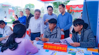 Hơn 500 học sinh, người lao động tham gia ngày hội tư vấn, hướng nghiệp, giới thiệu việc làm