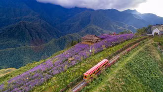 Miễn phí tàu hỏa Mường Hoa Sa Pa cho du khách Hà Nội, Quảng Ninh, Hải Phòng, Hải Dương