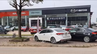 Hết ưu đãi 50% lệ phí trước bạ, thị trường ô tô cận Tết diễn biến trái chiều