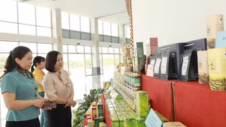 Nhiều hoạt động bảo vệ quyền lợi của người tiêu dùng