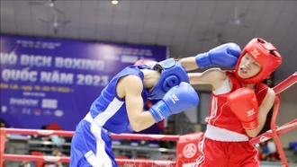 Khai mạc Giải Vô địch Boxing toàn quốc năm 2023
