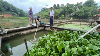 Tăng cường phòng, chống ô nhiễm nguồn nước nuôi thủy sản