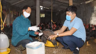 Bộ Y tế thông tin trường hợp mắc cúm A/H9 đầu tiên tại Việt Nam