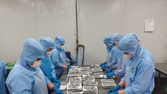 Kiên trì, kiên quyết gỡ khó để phục hồi tăng trưởng