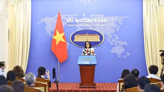 Bộ Ngoại giao thông tin về nữ du học sinh Việt Nam mất tích 5 tháng ở Pháp