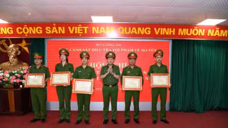 6 tháng đầu năm 2024, khám phá thành công hơn 17 nghìn vụ ma túy