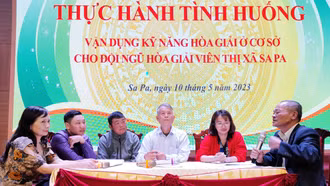 Thị xã Sa Pa: Tập huấn, bồi dưỡng kiến thức pháp luật, hướng dẫn nghiệp vụ quản lý nhà nước về hòa giải ở cơ sở