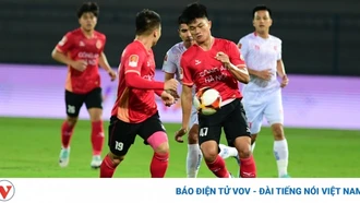 Bảng xếp hạng V-League 2023/2024 mới nhất: Nam Định dẫn đầu, CLB CAHN thất thế