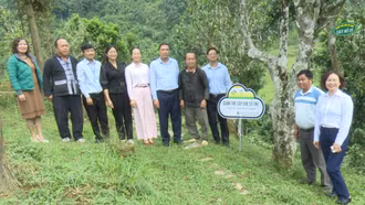 Phó Bí thư Tỉnh ủy Hoàng Giang thăm, kiểm tra một số mô hình sản xuất nông nghiệp tại huyện Bắc Hà