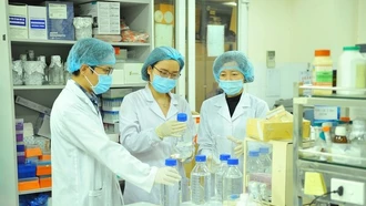 Phê duyệt Chiến lược quốc gia về thu hút, trọng dụng nhân tài