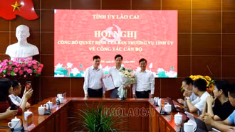 Công bố Quyết định của Ban Thường vụ Tỉnh ủy về công tác cán bộ