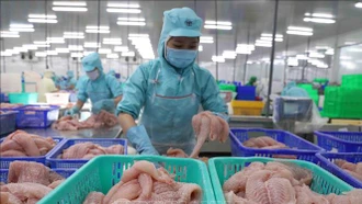 Khơi thông nguồn vốn tín dụng để hỗ trợ doanh nghiệp tận dụng hiệu quả FTA