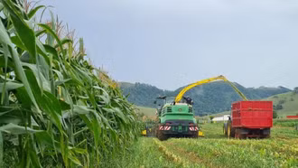 Lào chú trọng phát triển ngành trồng trọt và các sản phẩm cây trồng