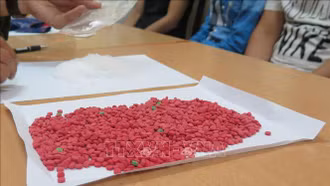 Triệt xóa đường dây mua bán ma túy từ Lào về Việt Nam