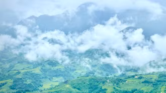 Triển khai công bố hiện trạng rừng tỉnh Lào Cai năm 2023