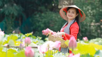 Sen hồng nở rộ, tấp nập du khách check-in