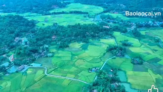 Mùa vàng ở Nghĩa Đô