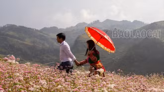 Ngắm nhìn những hình ảnh đẹp về hạnh phúc gia đình