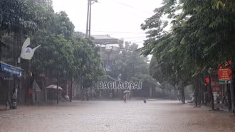 Mưa lớn gây thiệt hại tại thành phố Lào Cai