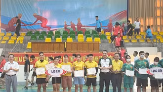 Giải vô địch kéo co quốc gia: Lào Cai giành 2 Huy chương Vàng