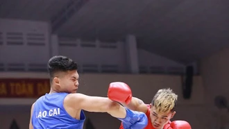 Giải vô địch Boxing các đội mạnh toàn quốc 2023: Lào Cai giành 5 huy chương