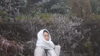 Băng giá xuất hiện trên đỉnh đèo Ô Quý Hồ (Sa Pa)