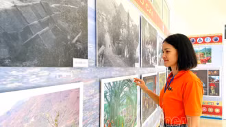 Mãn nhãn thưởng thức triển lãm ảnh tại VTV Cup 2023